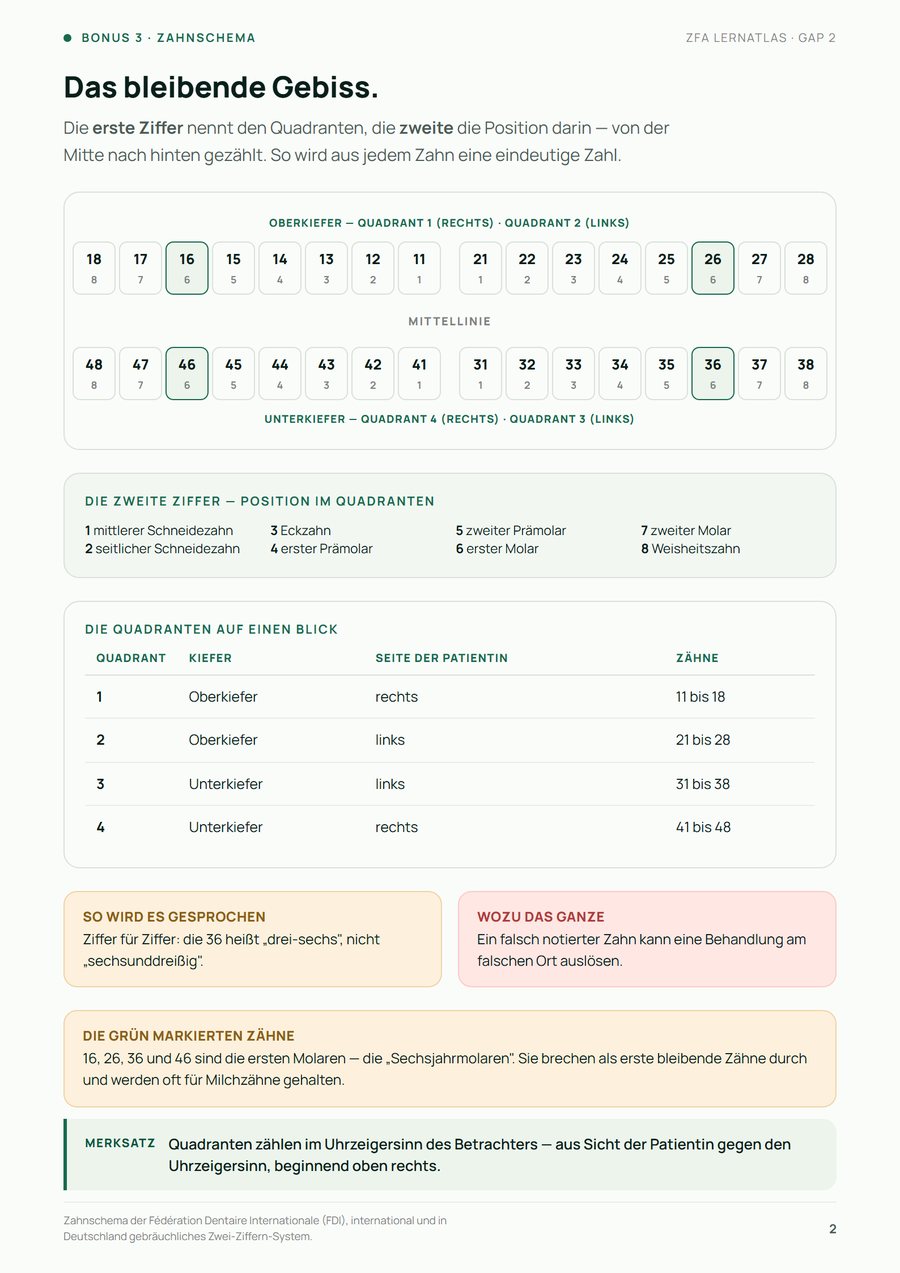 Aus dem Zahnschema-Poster: das bleibende Gebiss nach FDI